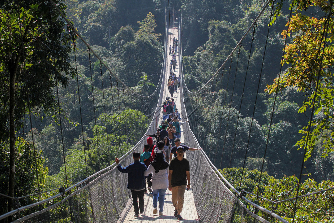 Jembatan Gantung Situ Gunung merupakan jembatan gantung terpanjang, yang berada di tengah hutan, di Asia Tenggara.<!--/data/user/0/com.samsung.android.app.notes/files/clipdata/clipdata_bodytext_220823_142838_522.sdocx-->