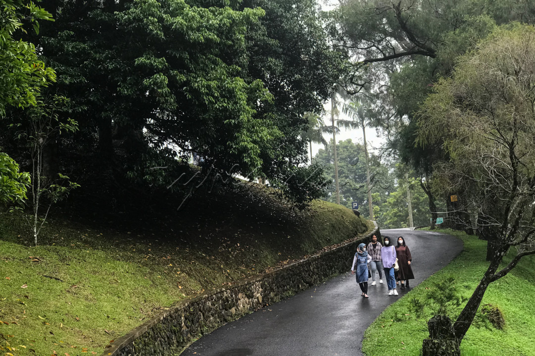 Suasana asri dan sejuk menyambut kedatangan wisatawan yang berkunjung. Selain itu, disini juga terdapat banyak spot menarik untuk berswafoto ataupun mengabadikan momen dengan prang terkasih. 