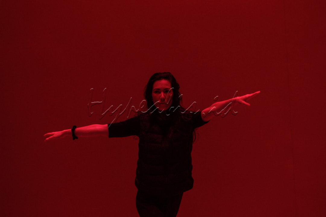 Indonesian Dance Festival 2022 yang mengsusung tema Rasa: Beyond Bodies tersebut diikuti oleh sejumlah seniman dari berabagai negara dan digelar dari 22-28 Oktober 2022 di Taman Ismail Marzuki dan Komunitas Salihara Arts Center.