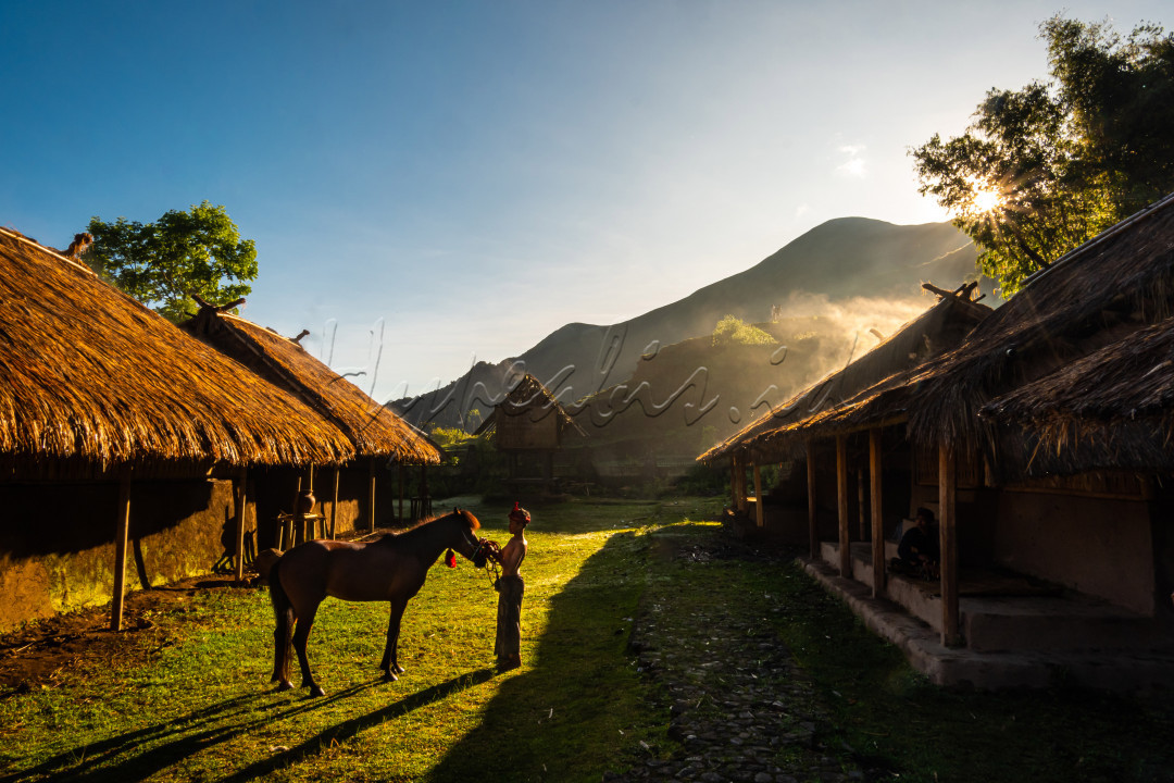 Suasana pagi dibawah kaki rinjani, dengan pemandangan rumah adat desa sembalun dengan baground perbukitan yang menambah kesan keindahan desa ini, terlihat seorang anak laki-laki sedang mengembalakan kudanya di sekitar halaman rumah adat. 