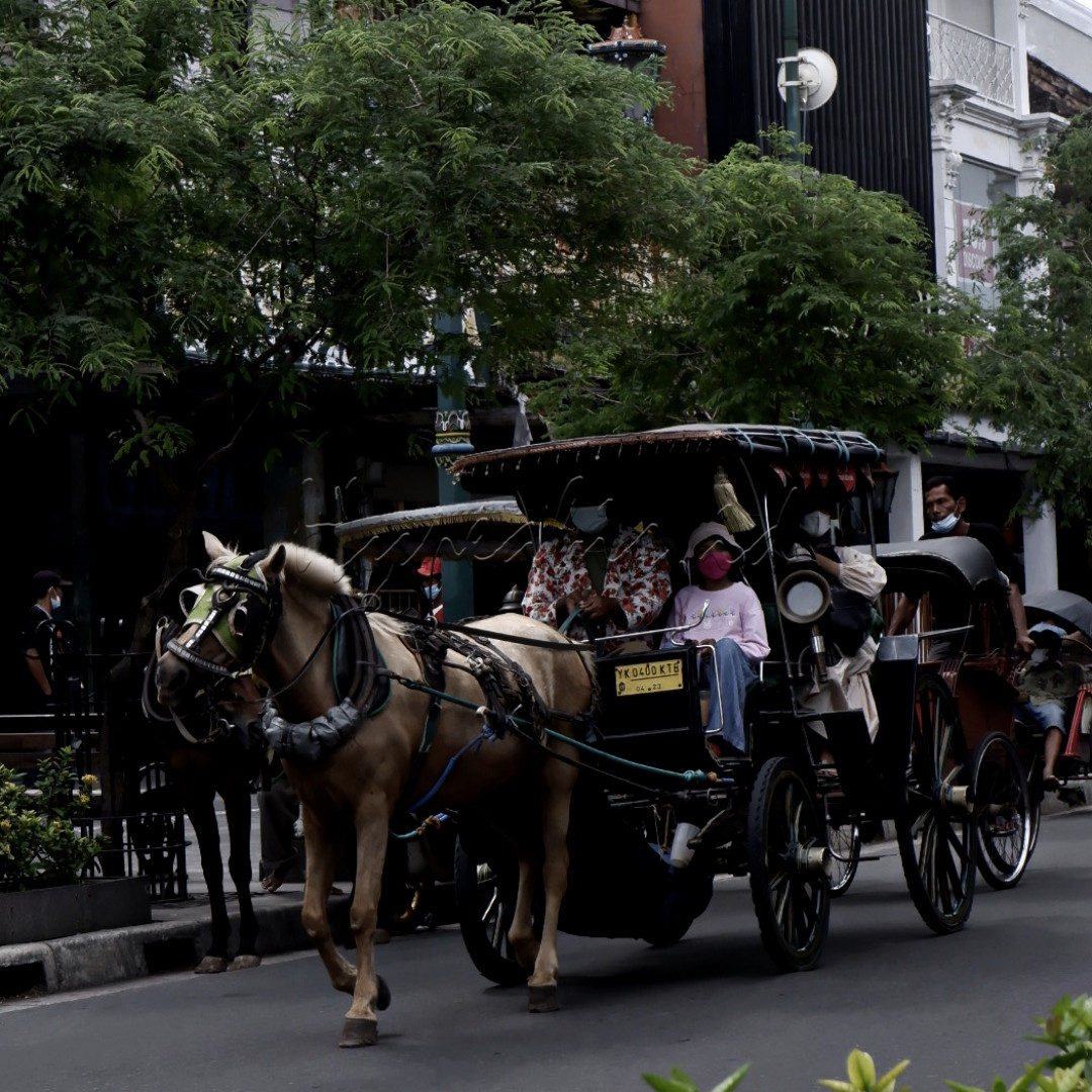 Jogja, merupakan salah satu Daerah wisata yang memberikan suasana budaya yang masih terasa, salah satunya adalah kendaraan yang dari dulu sampai sekarang masih terjaga kelestariannya yaitu Delman. Dimana delman merupakan transportasi kerjaan Jogja dari dulu, sekarang Delaman menjadi ikon Jogja yang di minati oleh wisatawan untuk mengelilingi kota Jogja.