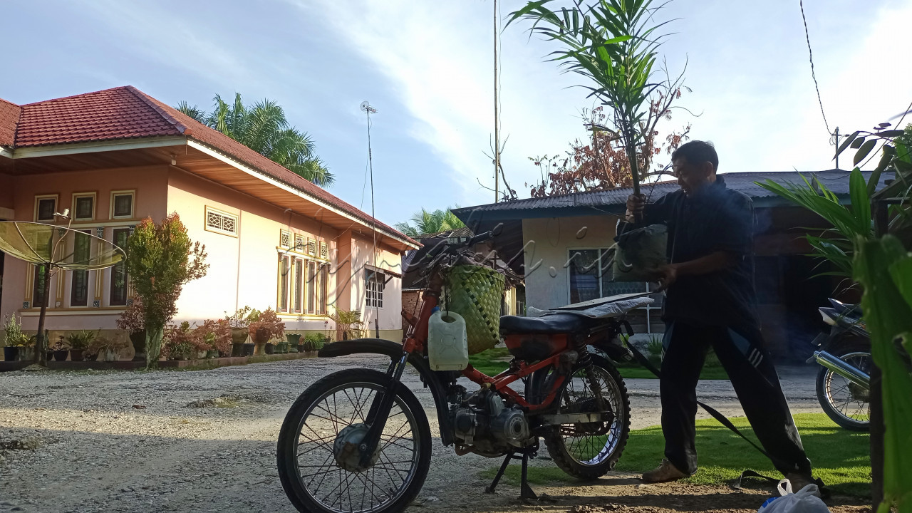 <strong>MINAT</strong> masyarakat desa di Desa Jawi-Jawi, Kecamatan Kampa, Kabupaten Kampar, Propinsi Riau untuk memiliki areal perkebunan sawit di areal lahan milik pribadi masih cukup tinggi walaupun dalam beberapa bulan terakhir ini di tahun 2022, ongkos pemeliharaan tanaman sawit dari kecil sampai berproduksi sejak umur 4,5 tahun terus meningkat khususnya harga berbagai jenis pupuk kimia pada semua jenis dan merk. 