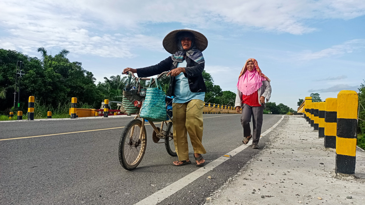 <strong>Dua</strong> orang ibu pulang dari sawah berjalan kaki mendorong sepedanya di Desa Balam Jaya, Tambang Kampar, Riau. Saat ini di Kampar para petani mulai melakukan panen raya tanaman padi umur 6 bulan. 