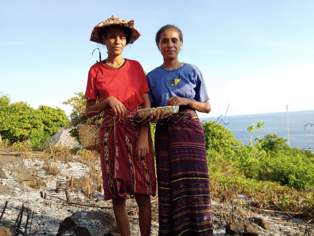 Perubahan iklim menjadi masalah besar bagi dunia, terkhusus generasi muda di Zaman sekarang. <br />
Untuk memeranginya Perempuan muda di desa Tapobali Menanam Sorgum sebagai pangan Alternatif pengganti beras padi.<br />
#LombafotoNusantaraSakti#Bisnisindonesiafoto#Hypeabisid