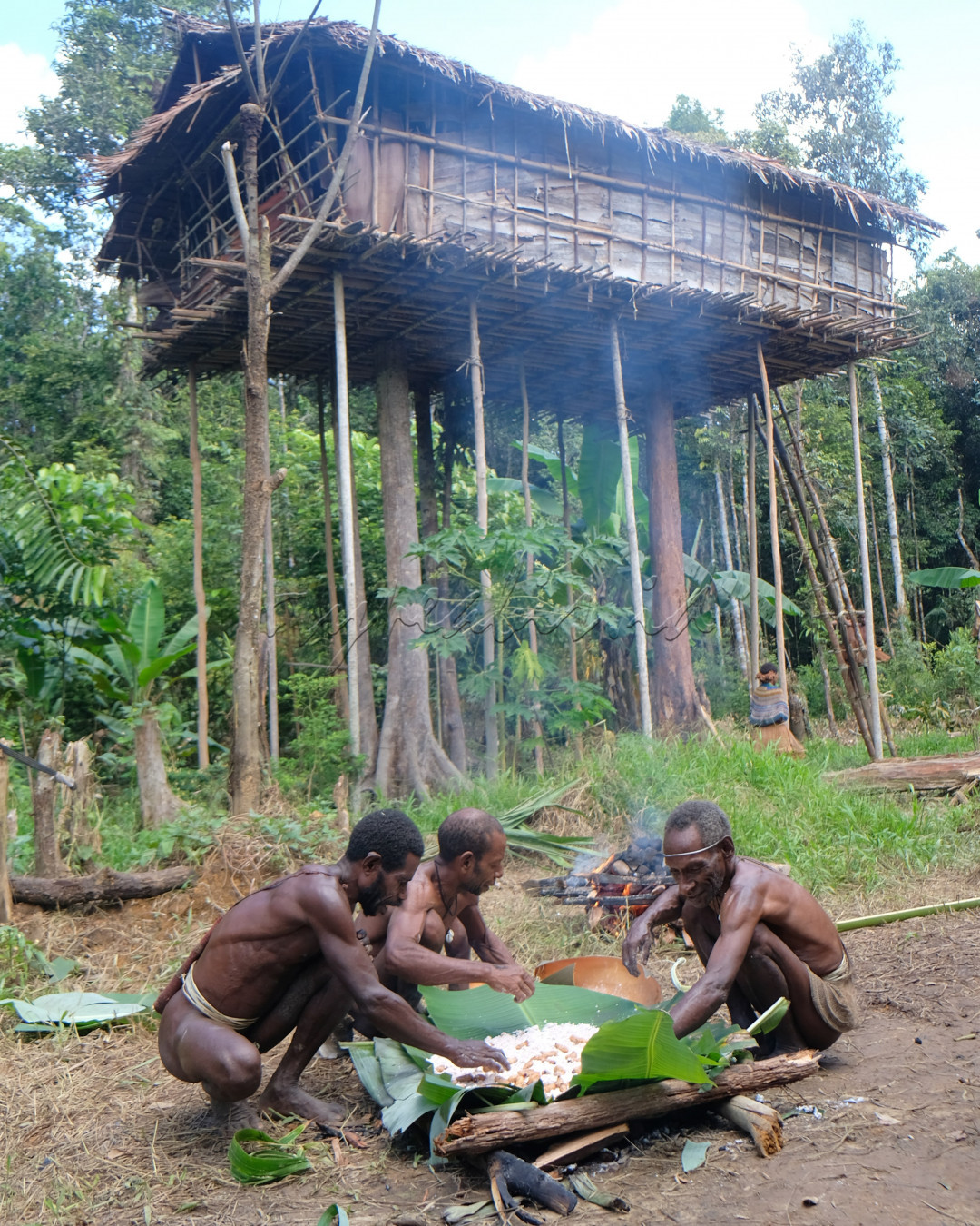 Sagu merupakan makanan utama suku Korowai, dimasak dengan cara paling sederhana, yakni dibakar. Kadang sagu bakar dicampur daun daunan/sayuran, kadang dicampur ulat sagu. Disini, mereka memasak dengan dicampur ulat sagu, dibikin pipih mirip pizza, dengan ulat sagu di sela selanya. Kamipun makan bersama mereka, ulat sagu rasanya sangat mirip jagung.<br />
<br />
Suku Korowai membangun rumahnya diatas pohon untuk alasan keamanan. Mereka hidup ditengah hutan belantara dan mengumpulkan dan berburu dari alam sekitarnya. Kaum prianya tidak mengenakan koteka seperti pada umumnya pria suku suku di Papua, melainkan menggunakan daun daunan untuk menutupi bagian vitalnya.<br />
<br />
Mereka adalah orang orang luar biasa dalam menjaga keharmonisan dengan alam tempat mereka menggantungkan kehidupan mereka.