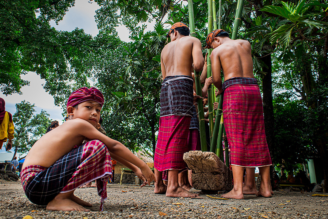 Beberapa pemuda adat suku Sasak Bayan Lombok sedang melaksanakan prosesi menumbuk padi. Prosesi ini termasuk di dalam rangkaian memperingati Maulid Nabi dan menjadi budaya Suku Sasak Bayan Lombok.