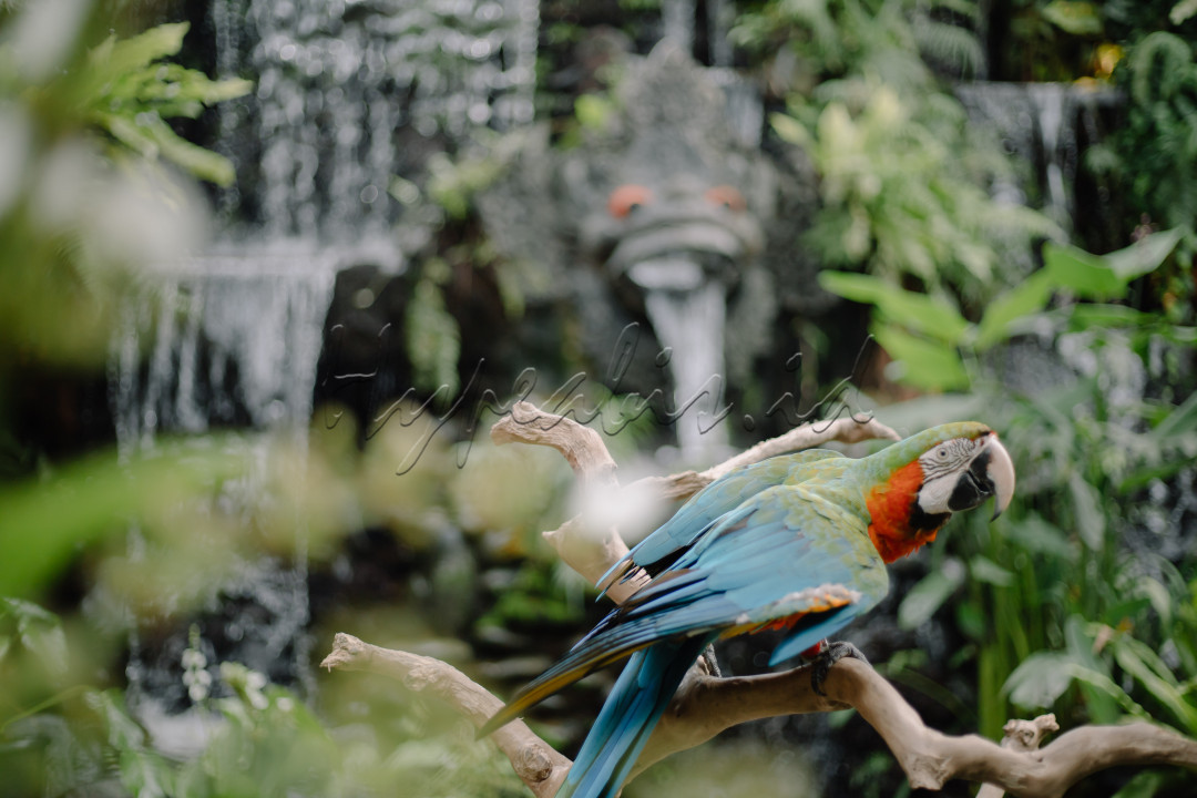 Indah rupa nya alam ini di hiasi dengan ukiran ukiran budaya yang menjadi warna kearifan lokal dari setiap sisi suku dan budaya nya dengan<br />
Sejuk nya hembusan angin di hutan hutan tropis yang indah sehingga menjadi sumber kehidupan bagi sluruh makhluk yang menghuni nya