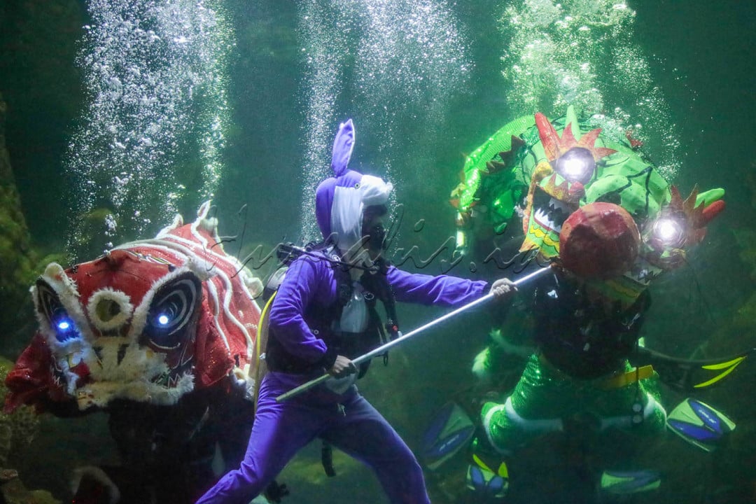 Beragam kegiatan dan atraksi khas budaya Tionghoa akan memeriahkan rekreasi di Ancol pada akhir pekan ini. 