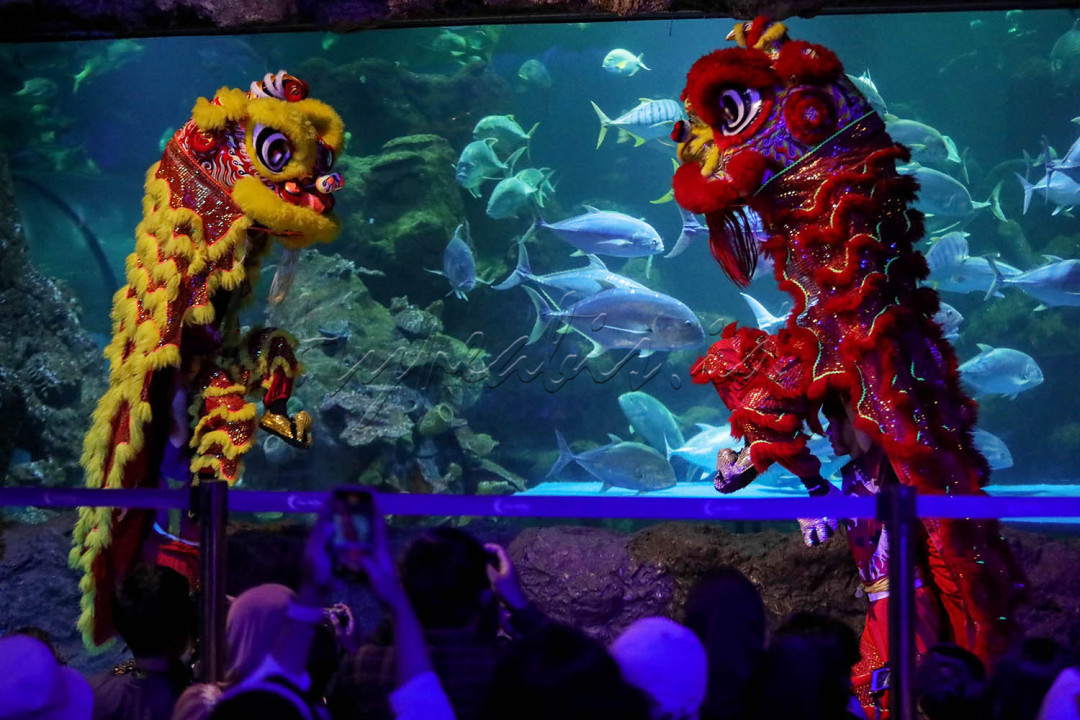 Bertepatan dengan perayaan Tahun Baru Imlek yang jatuh pada Minggu, 22 Januari 2023 ini, Ancol Taman Impian hadirkan Ancol Lunar Festival 2023 pada periode tanggal 21 hingga 29 Januari 2023.