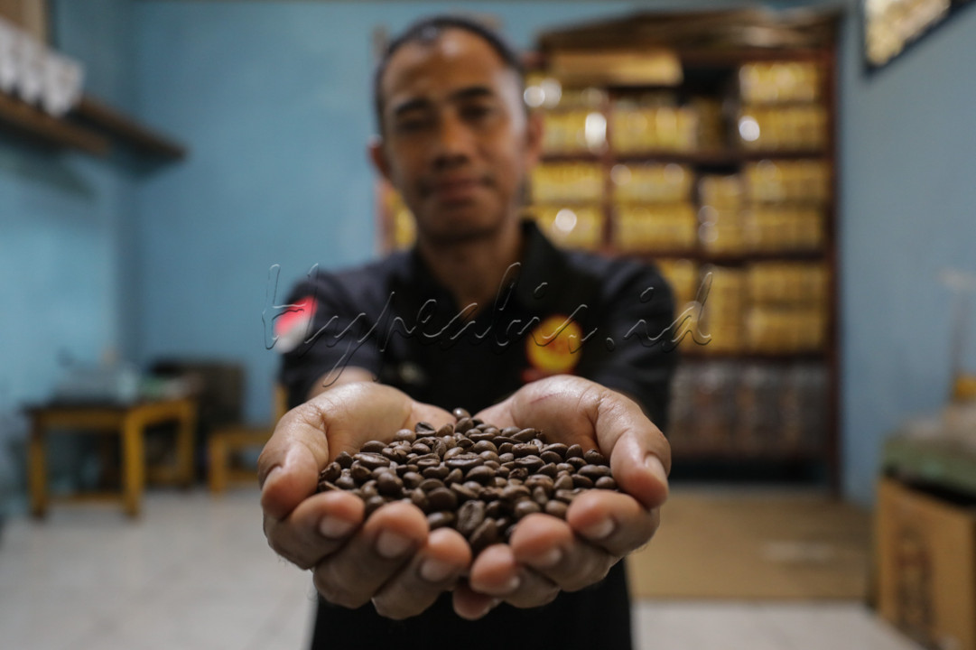 Pekerja menyelesaikan pengemasan kopi di Rumah Kopi 48, Bandar Lampung, Lampung. 