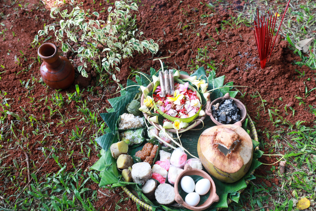 Begitu tiba di Hutan UI, suasan menjadi syahdu dan rindang. Acara dilanjutkan dengan membakar dupa, berdoa kepada Tuhan, dan menanam pohon secara simbolis dengan diiringi musik khas Sunda, kemudian pelepasan burung secara bersamaan.
<div> </div>