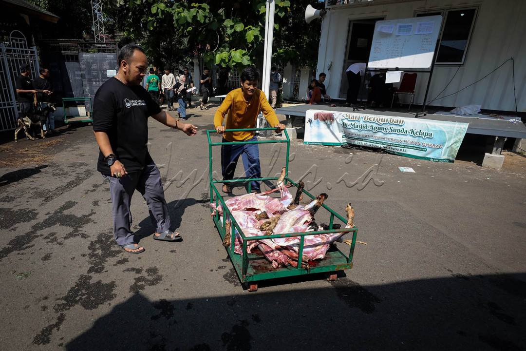 Petugas membawa daging kurban sebelum dibagikan ke warga