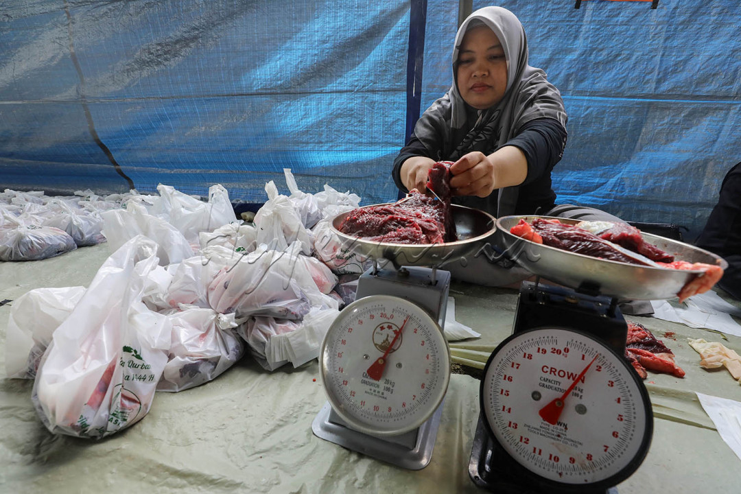 Petugas menimbang daging kurban yang akan dibagikan