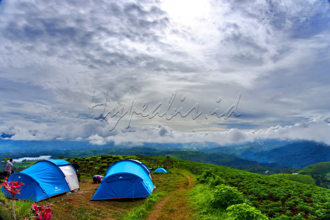 Wisatawan mendirikan tenda di Taman Langit Pangalengan (Sunrise Point & Camping Ground) di Bandung Selatan, Jawa Barat. Taman Langit Pengalengan merupakan salah satu lokasi pemandangan alam terbaik dengan hamparan kebun teh berlatar belakang pegunungan.