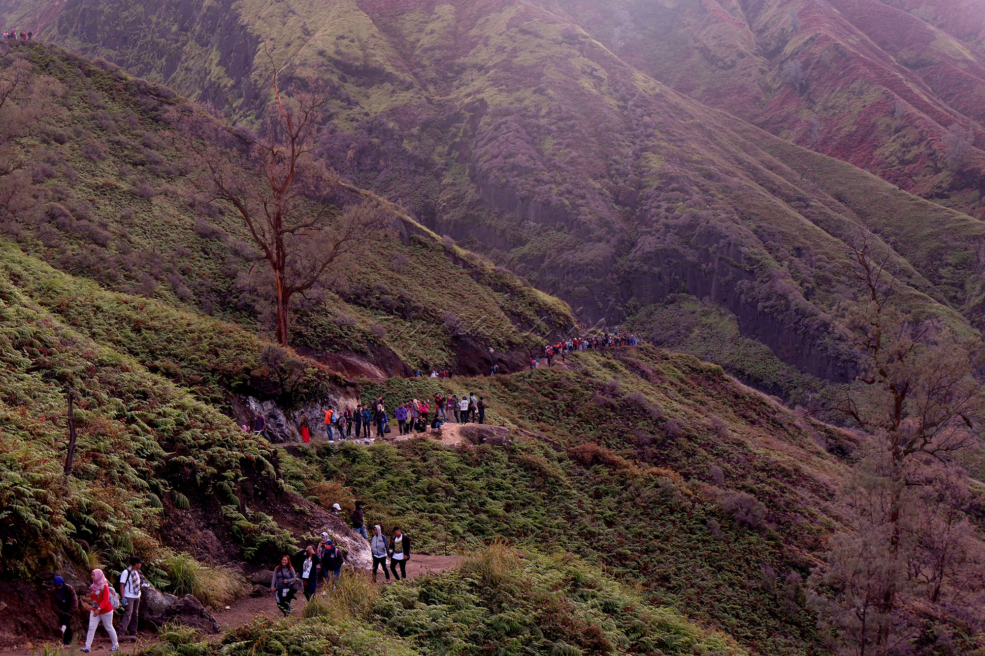 Wisatawan menikmati pagi di kawasan puncak Gunung Ijen, Bondowoso, Jawa Timur. Gunung Ijen berada di kawasan Wisata Kawah Ijen dan Cagar Alam Taman Wisata Ijen dan masih menjadi destinasi wisata populer dan unggulan di Jawa Timur. Kawah Ijen berada di ketinggian 2.368 meter di atas permukaan laut (mdpl). Kawah berdinding kaldera setinggi 300-500m, luasnya sekitar 5.466 hektar. Kawah ini terletak di tengah kaldera terluas di Pulau Jawa. Ukuran kaldera sekitar 20 kilometer. Ukuran kawahnya sekitar 960 meter x 600 meter. Kawah berada di kedalaman lebih dari 300 meter di bawah dinding kaldera. Air kawah itu cukup tenang dan berwarna hijau kebiru-biruan.