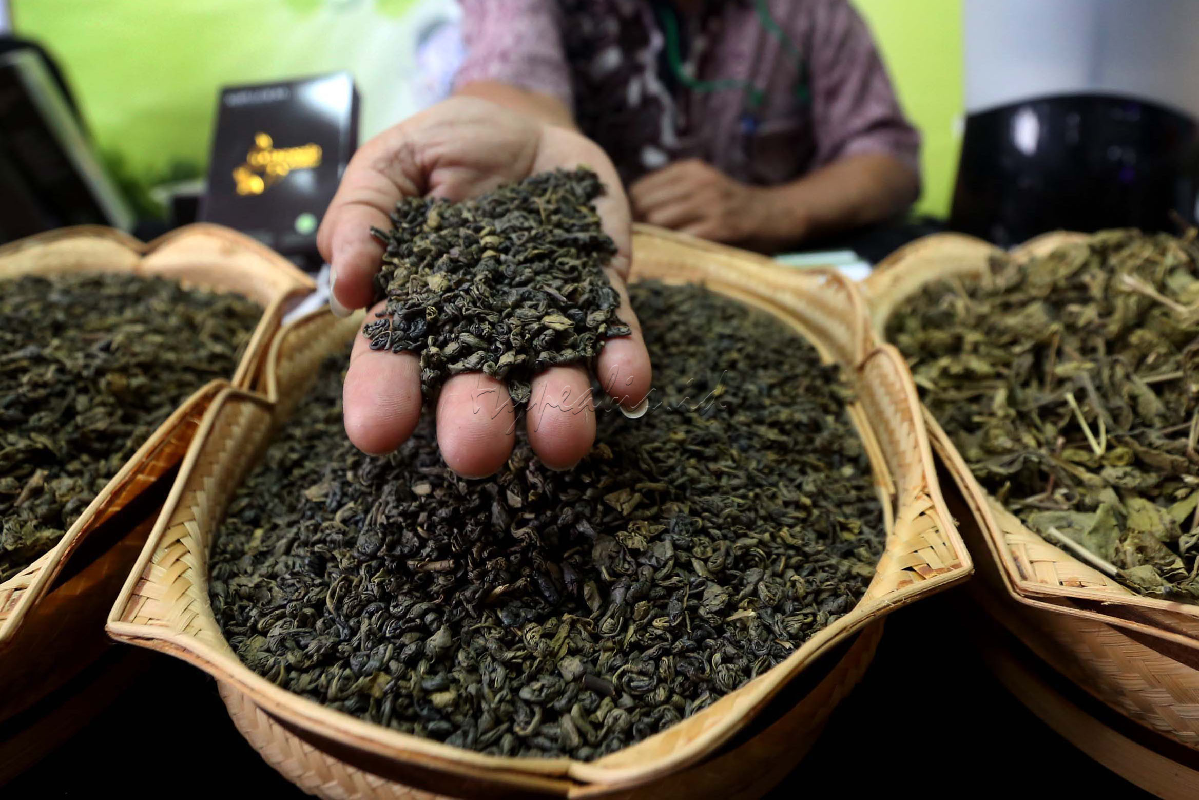 Jemari yang cekatan memilah pucuk daun teh yang telah diolah.