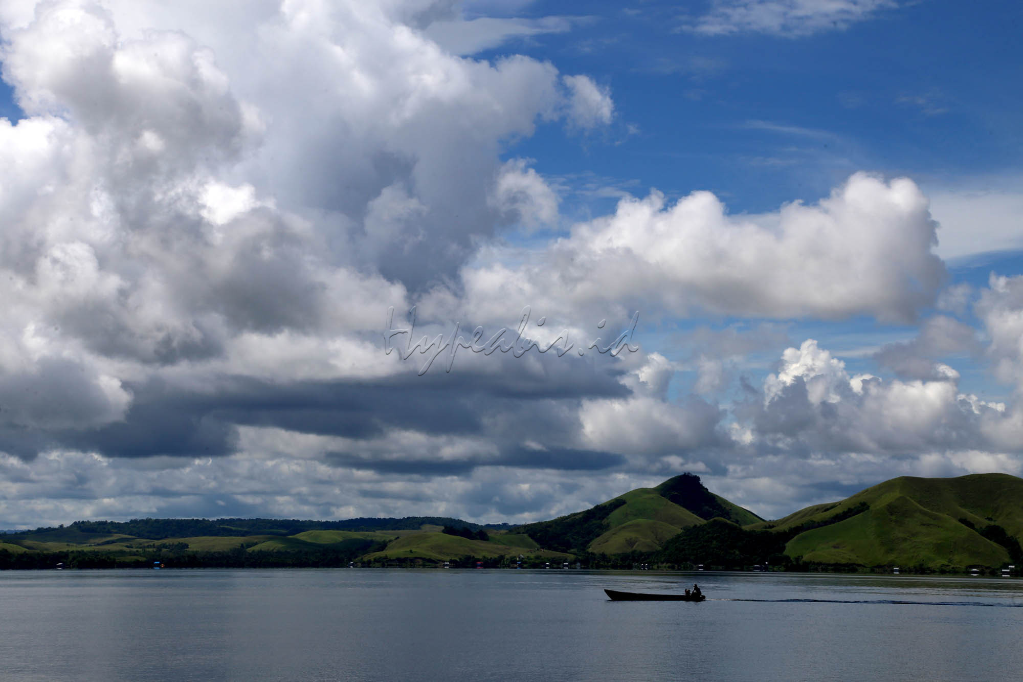 Danau Sentani memiliki sumber daya alam yang sangat kaya. Ada berbagai spesies ikan air tawar yang hidup di dalam danau ini. Beberapa di antaranya menjadi spesies endemik Sentani.