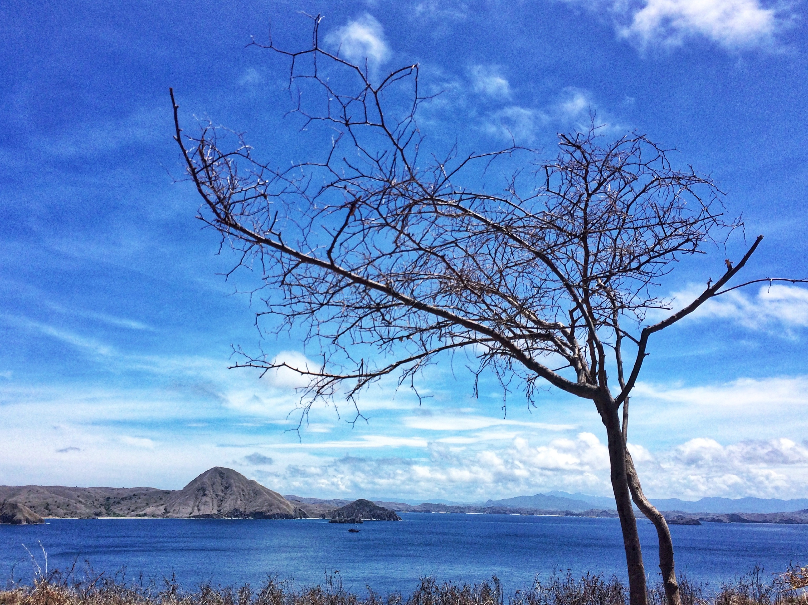 Pemandangan alam kawasan Taman Nasional Komodo terlihat dari puncak bukit di Pulau Padar, Nusa Tenggara Timur.