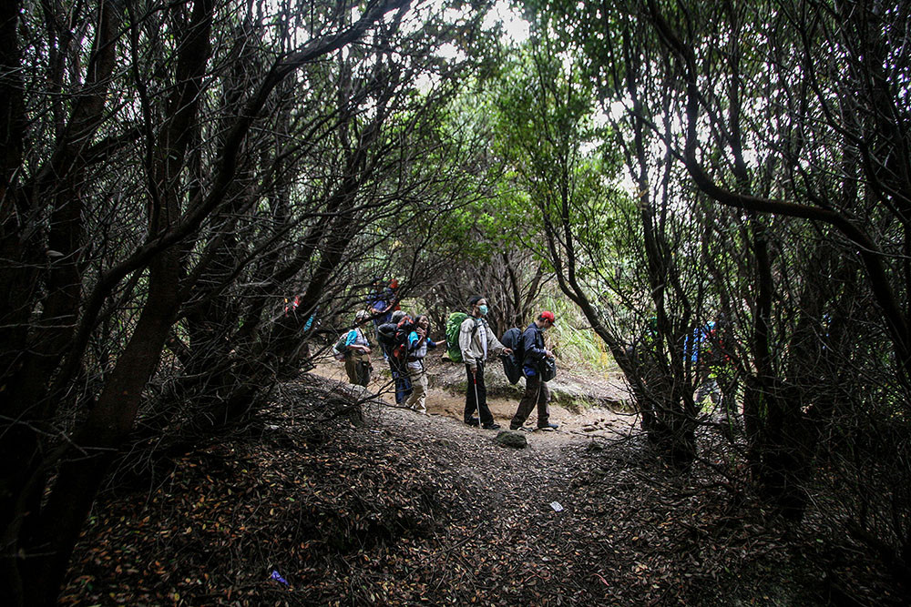 Pendaki berjalan menuju Pondok Saladah, Gunung Papandayan di Garut, Jawa Barat.