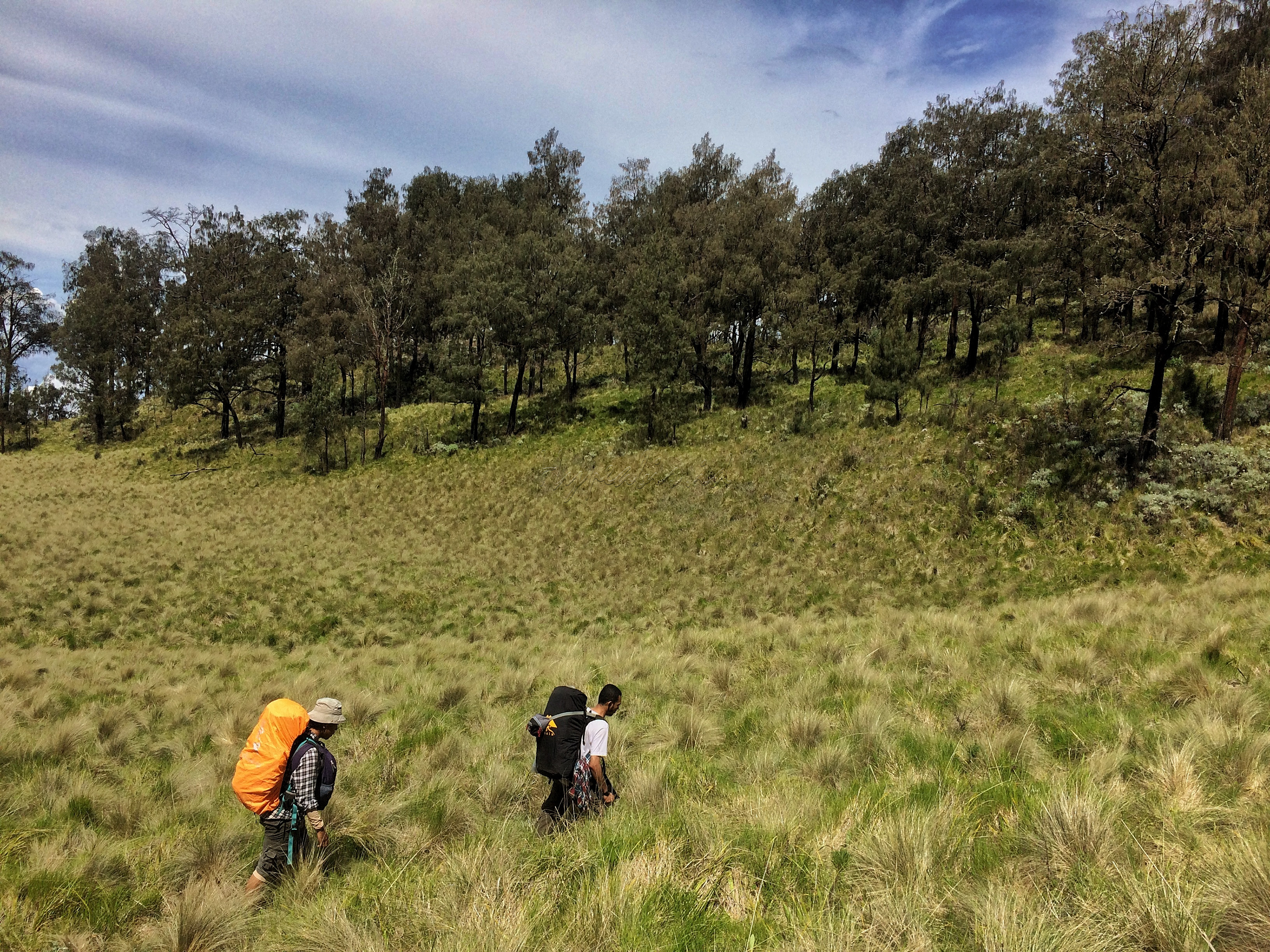 Pendaki berjalan di Bulak Peperangan Gunung Lawu Jalur Candi Ceto, Jawa Tengah. Gunung yang memiliki ketinggian 3.265 mdpl tersebut menyajikan panorama yang indah bagi setiap pendaki yang datang ke gunung itu.