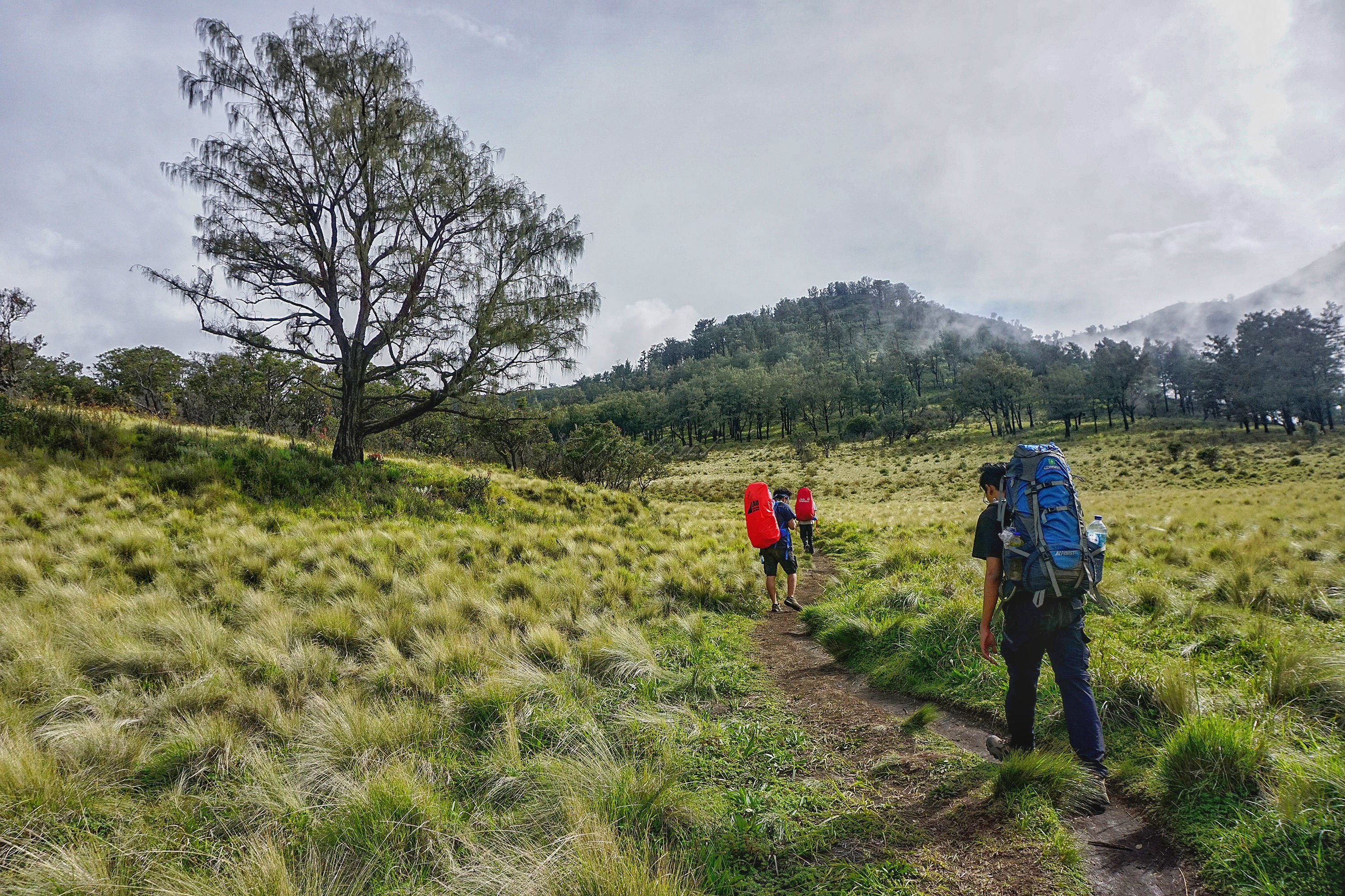 Pendaki berjalan di Bulak Peperangan Gunung Lawu Jalur Candi Ceto, Jawa Tengah. Gunung yang memiliki ketinggian 3.265 mdpl tersebut menyajikan panorama yang indah bagi setiap pendaki yang datang ke gunung itu.