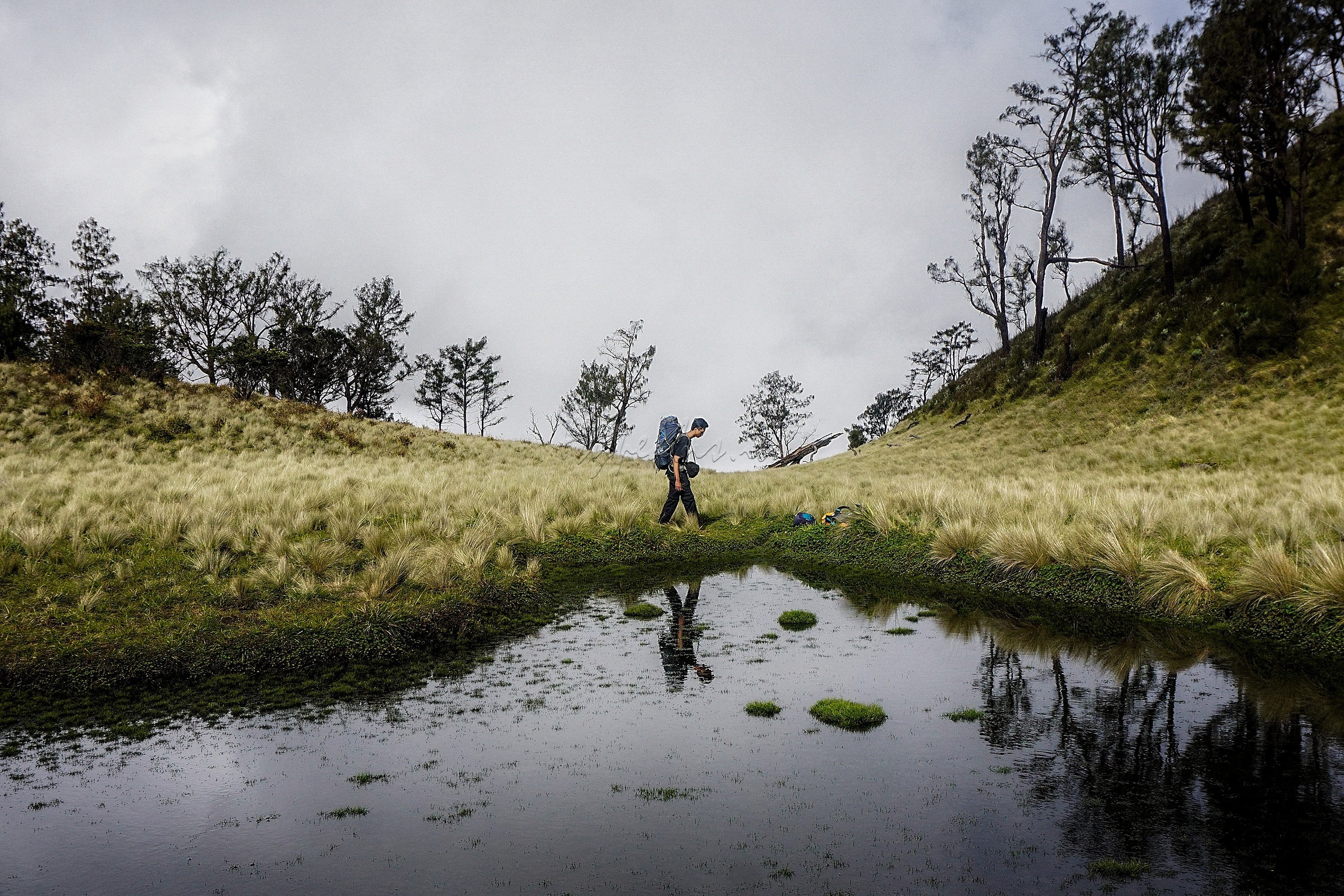 Pendaki berjalan menyusuri Gupakan Menjangan Gunung Lawu Jalur Candi Ceto, Jawa Tengah. Gunung yang memiliki ketinggian 3.265 mdpl tersebut menyajikan panorama yang indah bagi setiap pendaki yang datang ke gunung itu.